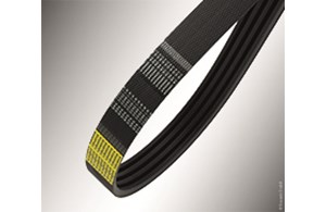 Kraftband SPZ 5-rippig  Strongbelt